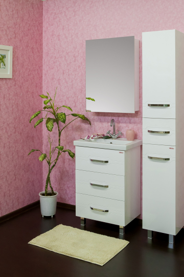 Зеркало-шкаф Sanflor Анкона R, 60